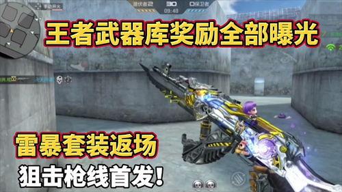 最新王者武器库爆料,神秘新武器震撼登场！